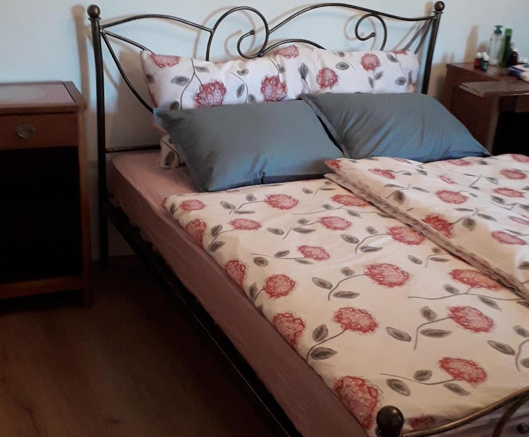 Appartamento Vidin Raj Vremski Britof Esterno foto