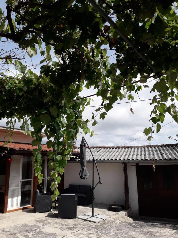 Appartamento Vidin Raj Vremski Britof Esterno foto